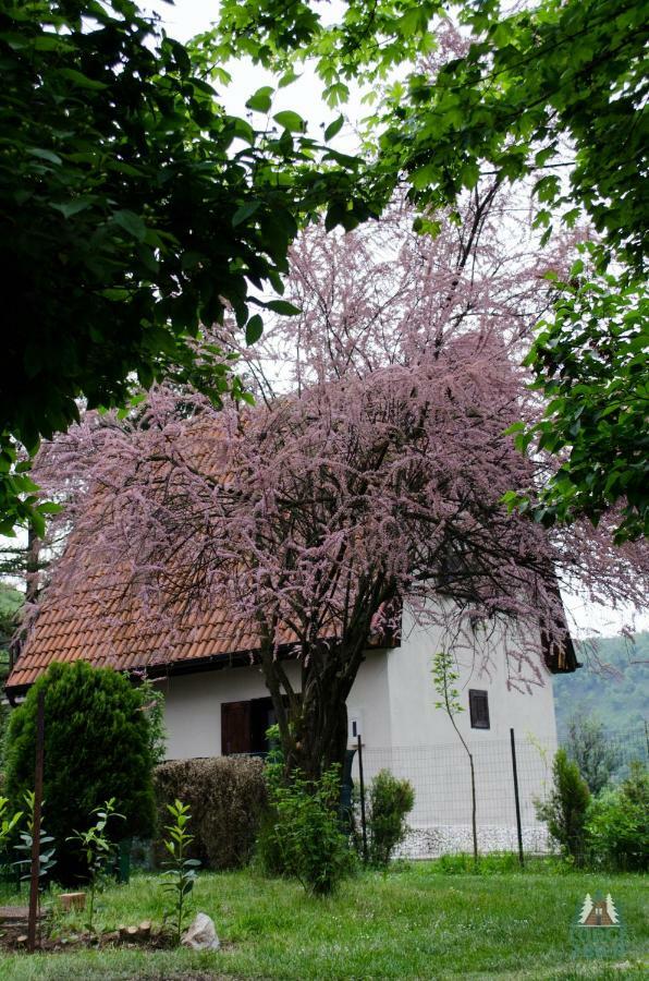 Lodge Zbilje Visoko, Bosnian Pyramids Екстер'єр фото